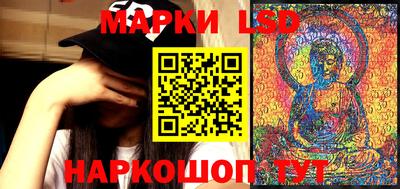 прущие грибы Кандалакша