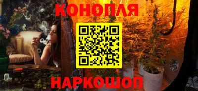 прущие грибы Кандалакша