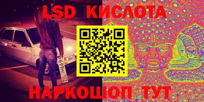 стафф Камышлов