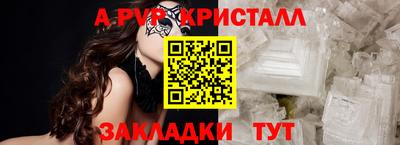 стафф Камышлов