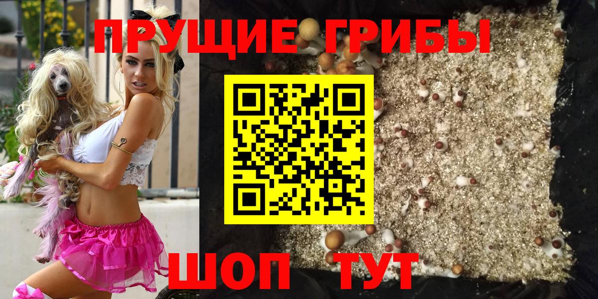 Псилоцибиновые грибы GOLDEN TEACHER Мирный