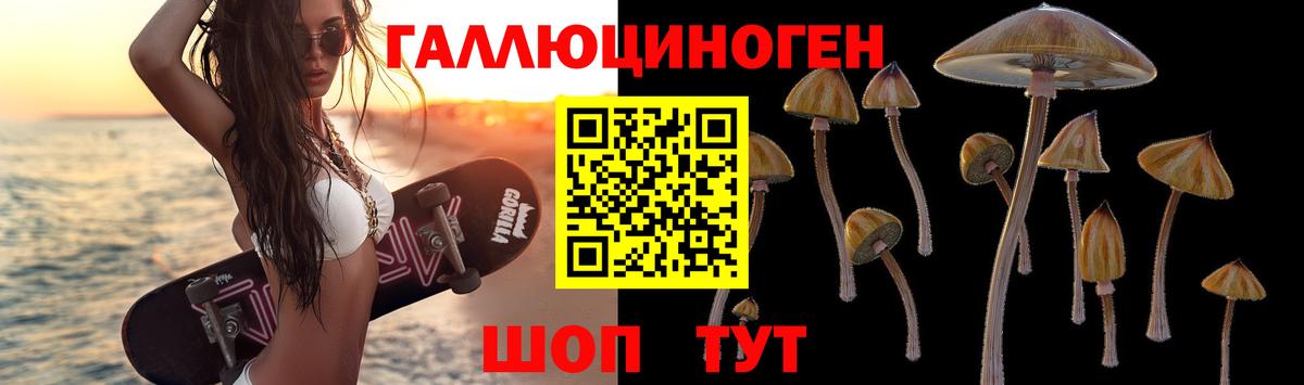 Мирный  Галлюциногенные грибы Psilocybine cubensis  Вход с VPN 